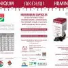 Huminiqum kapslar kosttillskott (120 kapslar) Originalet - ersätter Humiforte Plus+ - Bild 5